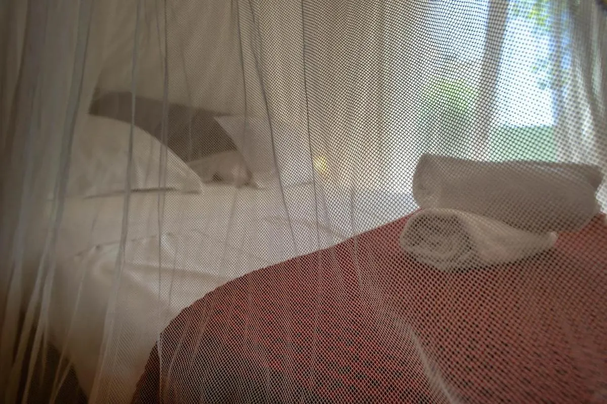 Maison De Charme 14 Personnes Piscine Avignon France